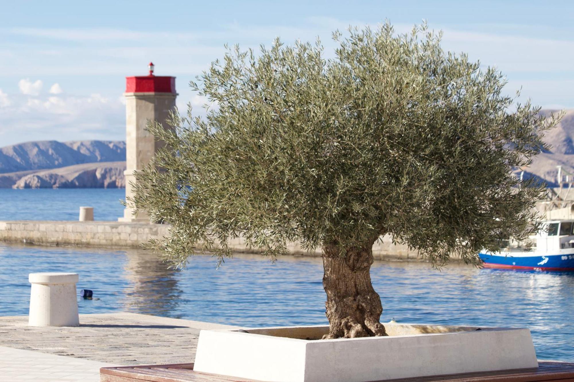 Apartment4You Senj  Exterior foto